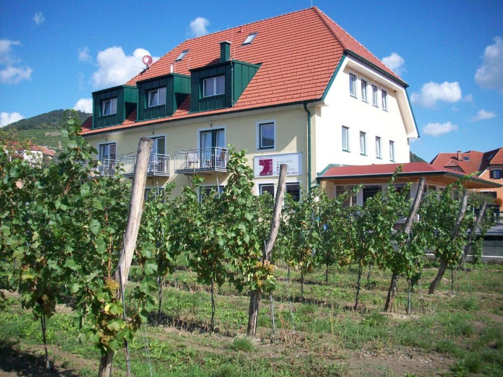 Hotel Garni Weinquadrat Weissenkirchen in der Wachau Esterno foto